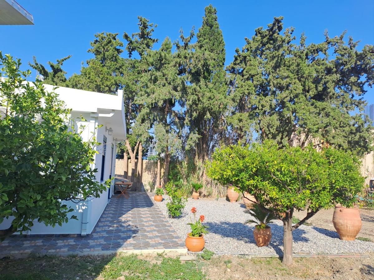 Deja Blue Villa Archangelos  Bagian luar foto