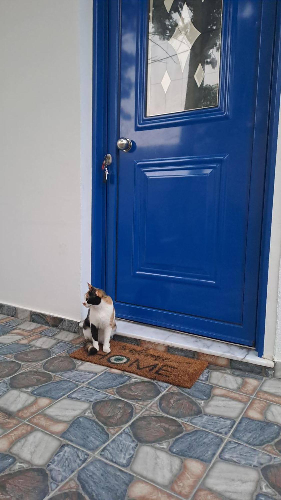 Deja Blue Villa Archangelos  Bagian luar foto